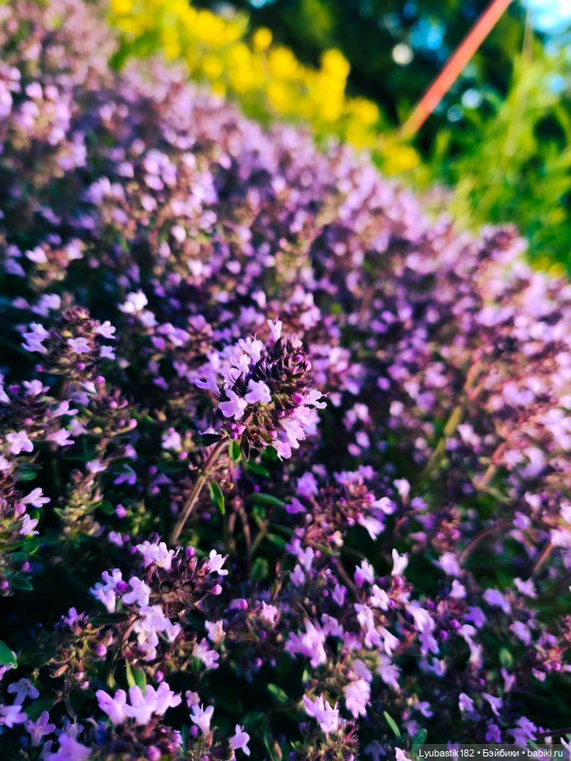 Охотник — Разные шарнирные куклы (не БЖД): редкие (фото 8)