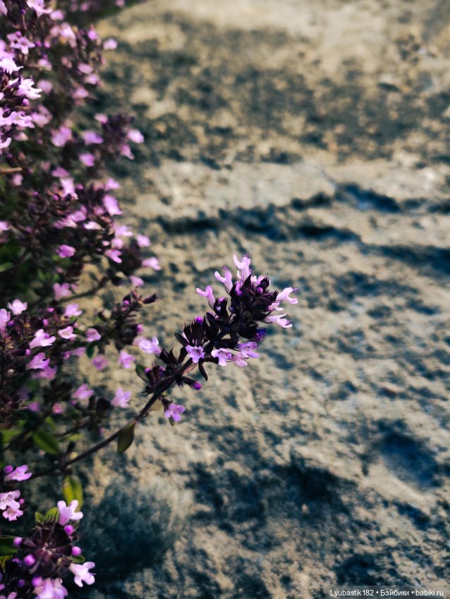 Охотник — Разные шарнирные куклы (не БЖД): редкие