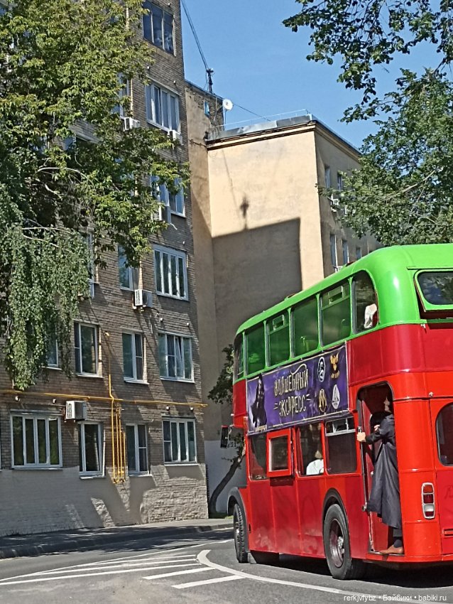 История одного гибрида... или знакомьтесь, я - Оскар