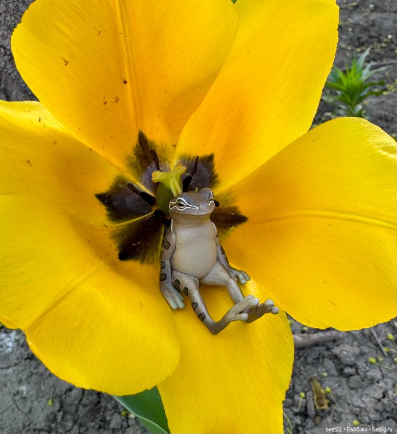 Главный 🐸 по цветочкам — Коллекционные фигурки (разное): животные (фото 6)