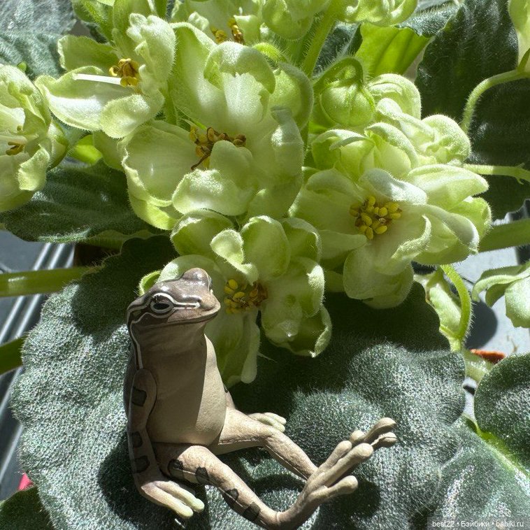 Главный 🐸 по цветочкам — Коллекционные фигурки (разное): животные (фото 8)
