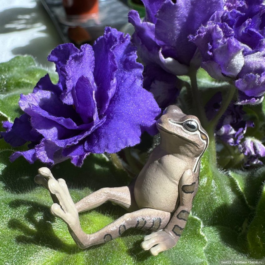 Главный 🐸 по цветочкам — Коллекционные фигурки (разное): животные (фото 9)