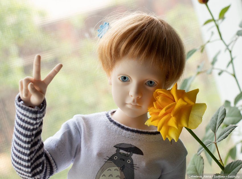 Розочки — Куклы Dollshe Craft (Доллше): BJD (БЖД)