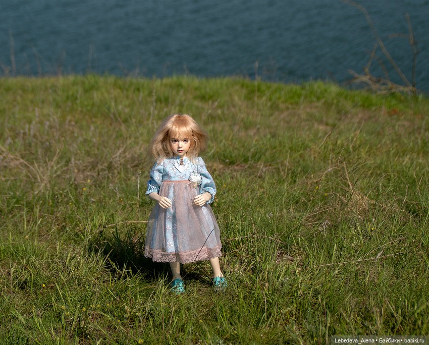 Розочки — Куклы Dollshe Craft (Доллше): BJD (БЖД) (фото 6)