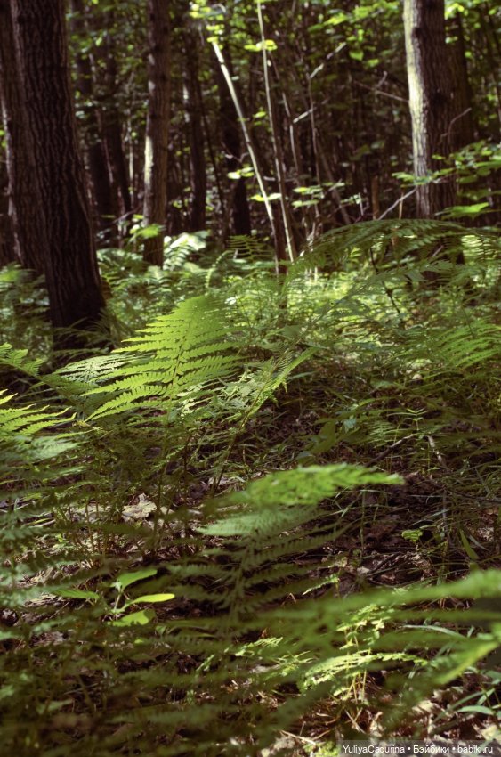 Иван Купала — Авторские шарнирные куклы своими руками: лепка