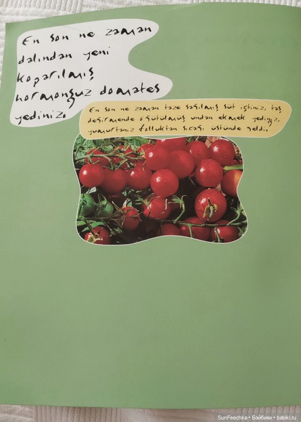 Отель - призрак Eco Dream Club Resort. Турция, Чамьюва (фото 3)