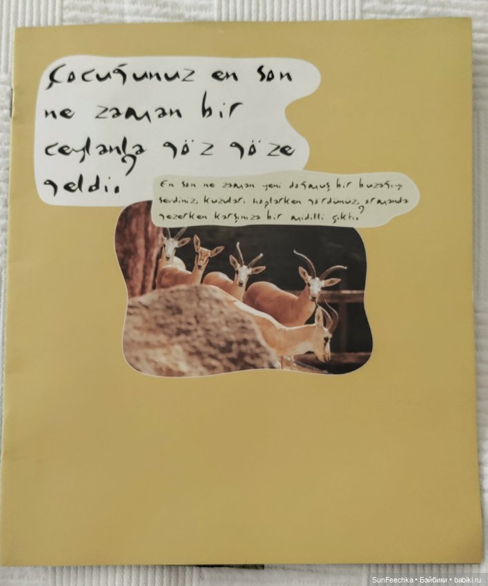 Отель - призрак Eco Dream Club Resort. Турция, Чамьюва (фото 2)