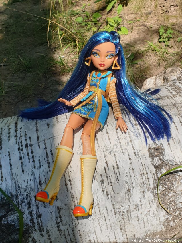 Куклы Monster High и Ever After High: G1 (фото 8)