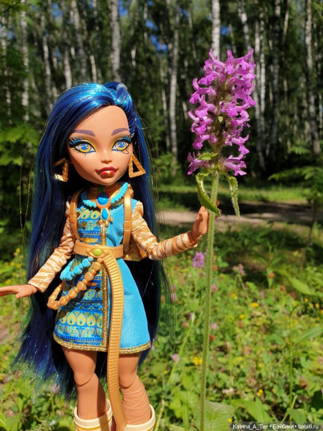 Куклы Monster High и Ever After High: G1 (фото 10)