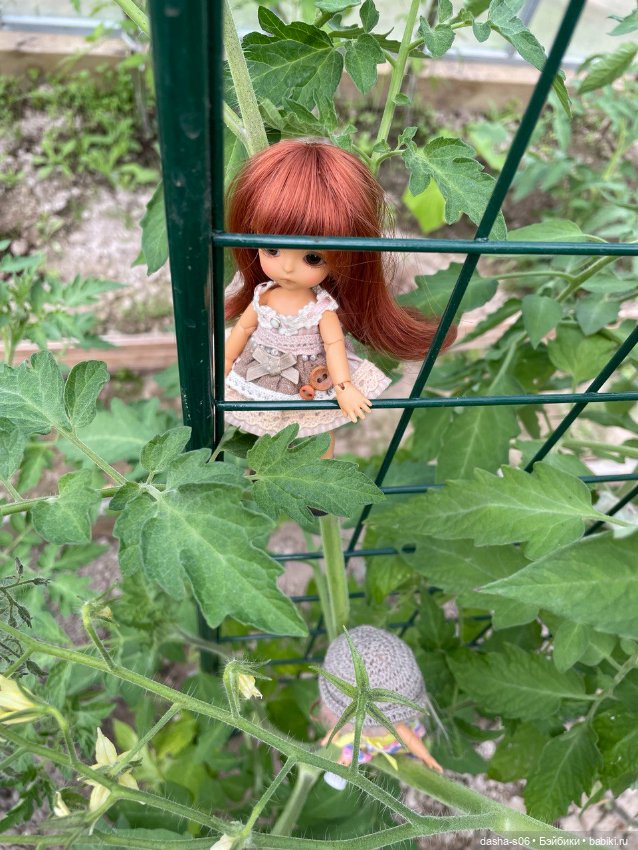 Помидорные приключения — Фотоистории с куклами BJD (БЖД): сериалы (фото 6)