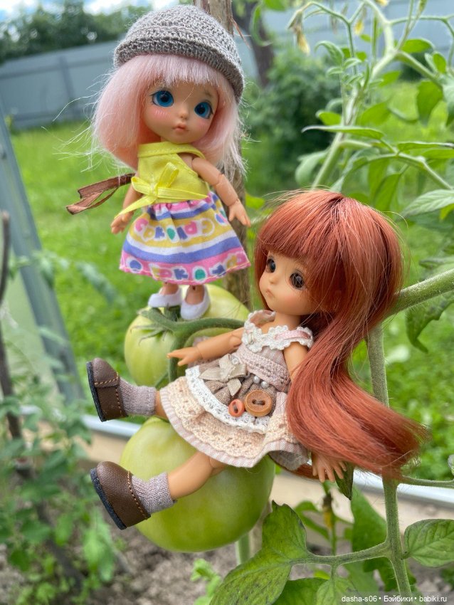 Помидорные приключения — Фотоистории с куклами BJD (БЖД): сериалы (фото 3)