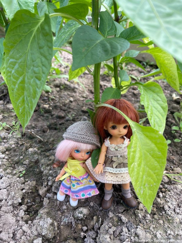 Помидорные приключения — Фотоистории с куклами BJD (БЖД): сериалы