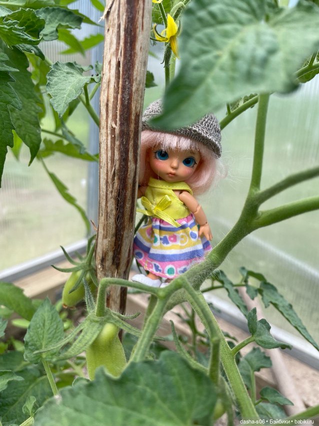 Помидорные приключения — Фотоистории с куклами BJD (БЖД): сериалы (фото 4)