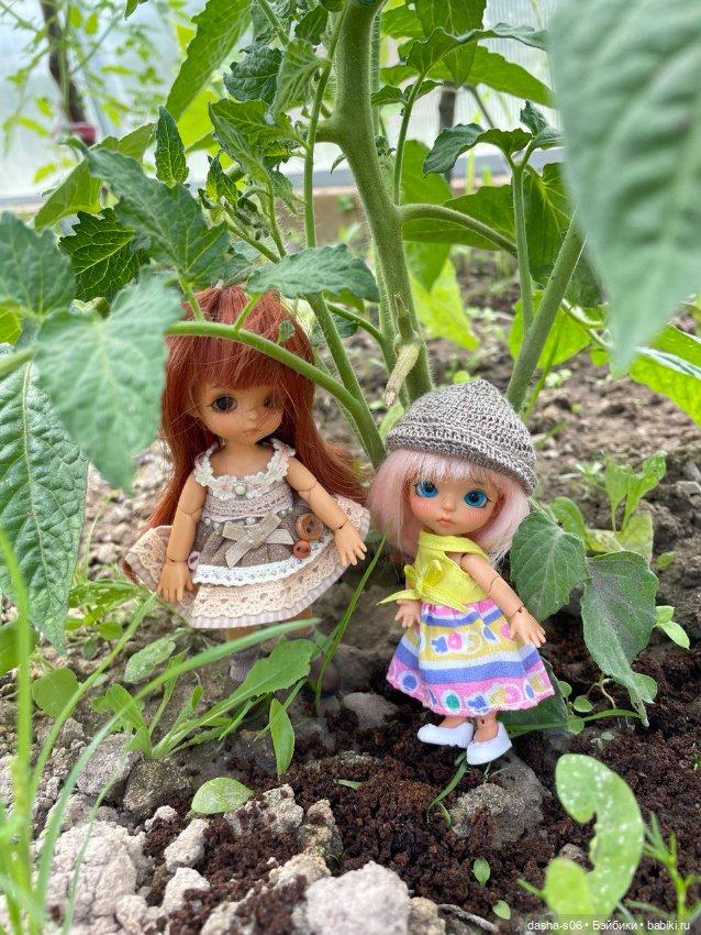 Помидорные приключения — Фотоистории с куклами BJD (БЖД): сериалы (фото 5)