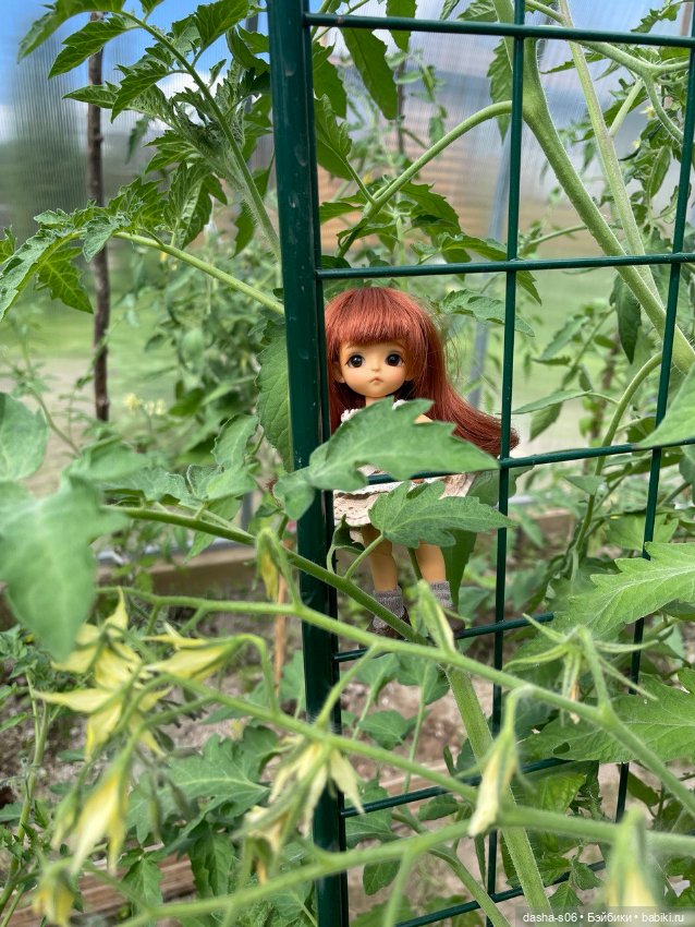 Помидорные приключения — Фотоистории с куклами BJD (БЖД): сериалы (фото 7)