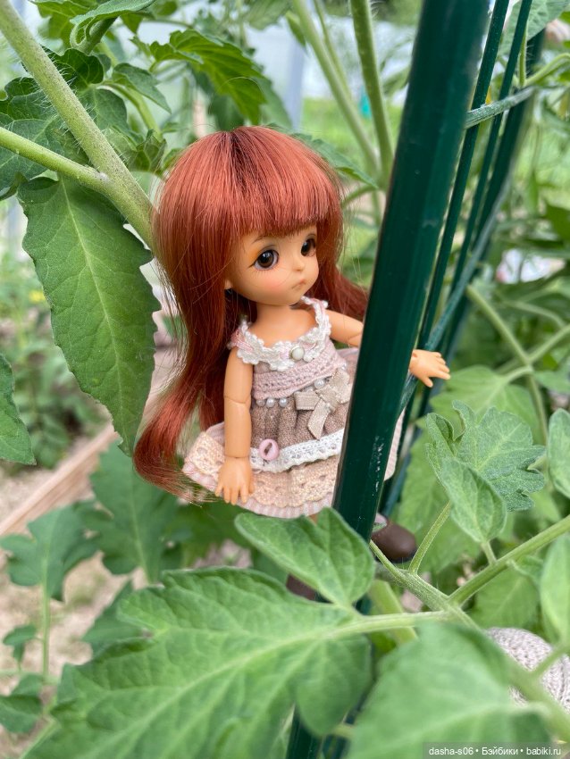 Помидорные приключения — Фотоистории с куклами BJD (БЖД): сериалы (фото 8)