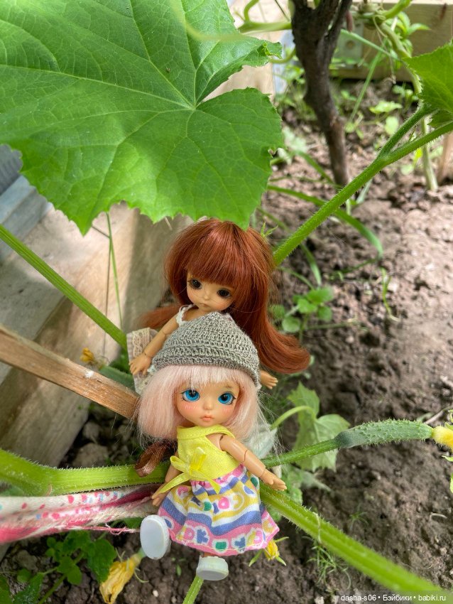 Помидорные приключения — Фотоистории с куклами BJD (БЖД): сериалы