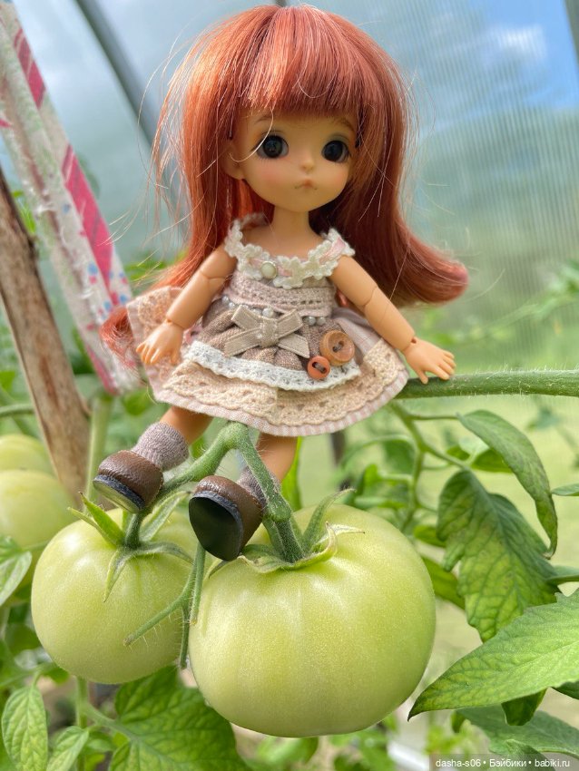 Помидорные приключения — Фотоистории с куклами BJD (БЖД): сериалы
