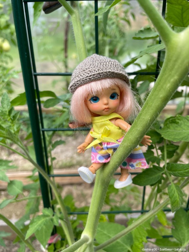 Помидорные приключения — Фотоистории с куклами BJD (БЖД): сериалы (фото 9)