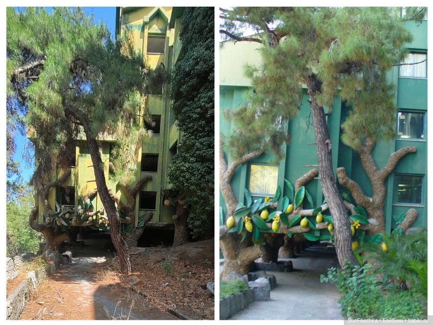 Отель -призрак Eco Dream Club. Турция, Чемьюва. Часть 2 (фото 9)