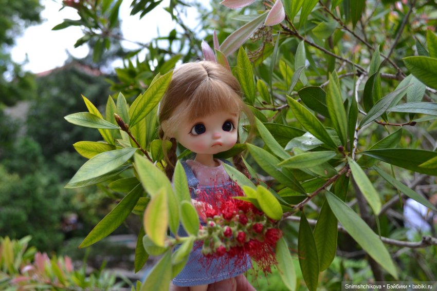 Среди цветов — Разные шарнирные куклы (не БЖД): редкие