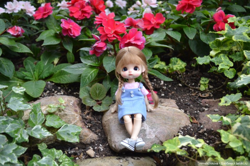 Среди цветов — Разные шарнирные куклы (не БЖД): редкие (фото 10)