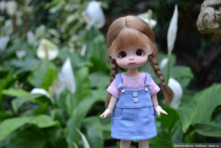 Среди цветов — Разные шарнирные куклы (не БЖД): редкие