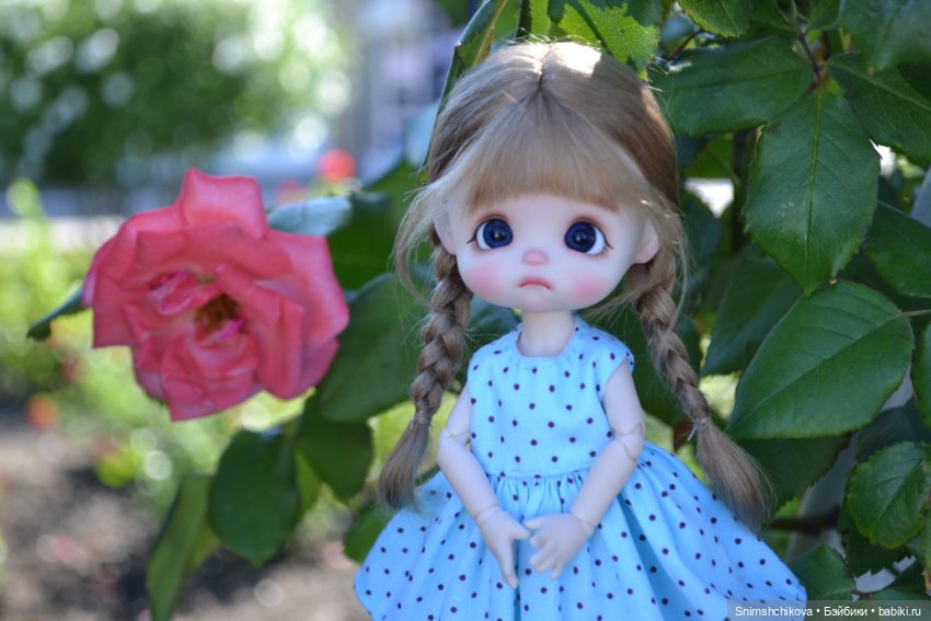 Среди цветов — Разные шарнирные куклы (не БЖД): редкие