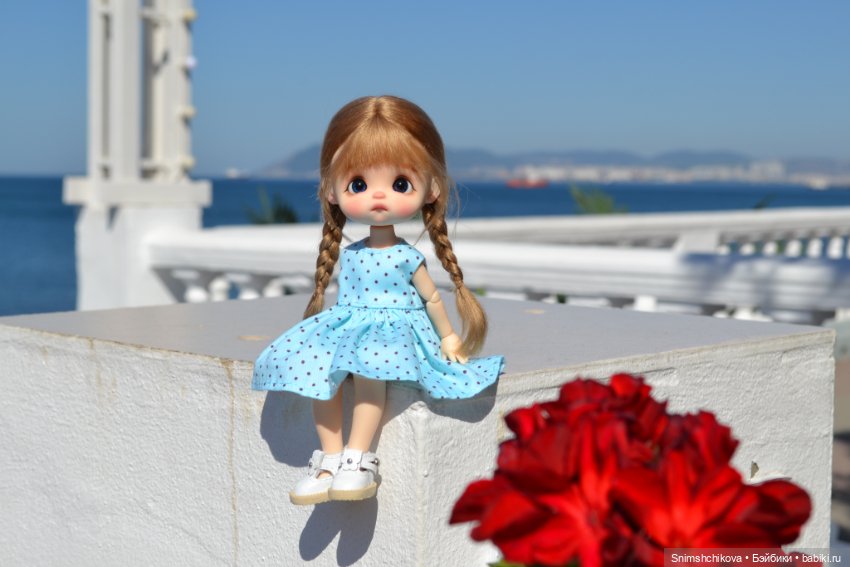 Среди цветов — Разные шарнирные куклы (не БЖД): редкие (фото 8)