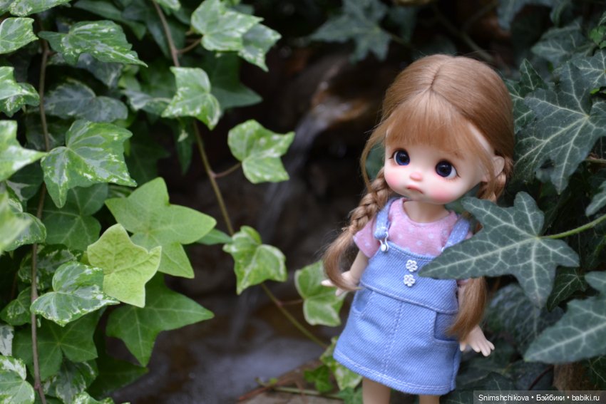 Среди цветов — Разные шарнирные куклы (не БЖД): редкие