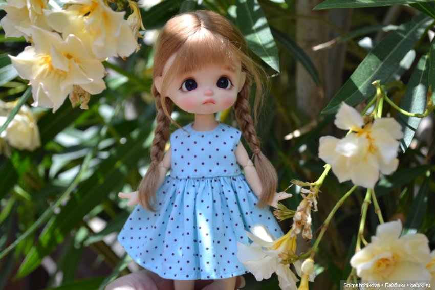 Среди цветов — Разные шарнирные куклы (не БЖД): редкие