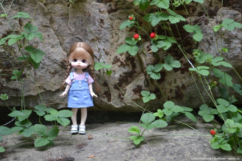 Среди цветов — Разные шарнирные куклы (не БЖД): редкие