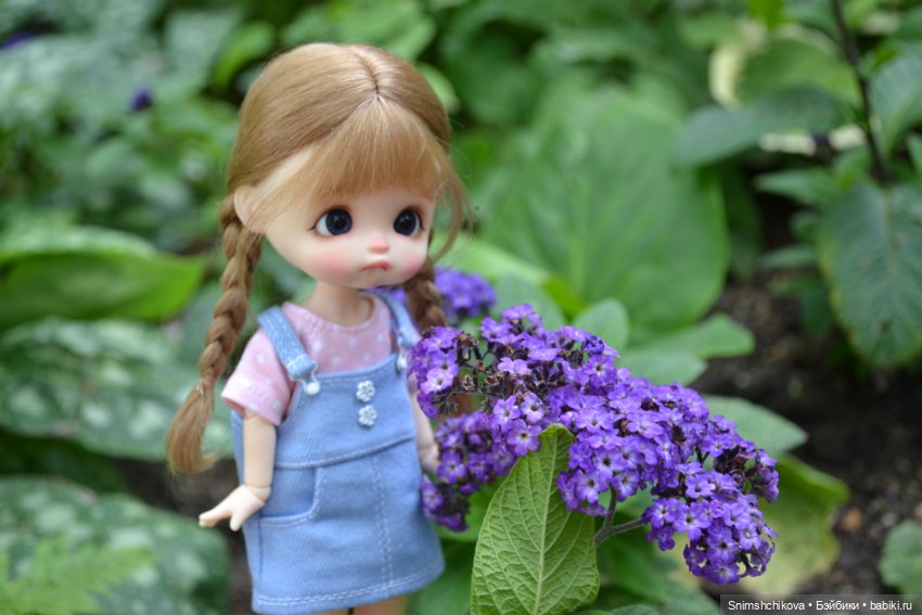 Среди цветов — Разные шарнирные куклы (не БЖД): редкие (фото 9)