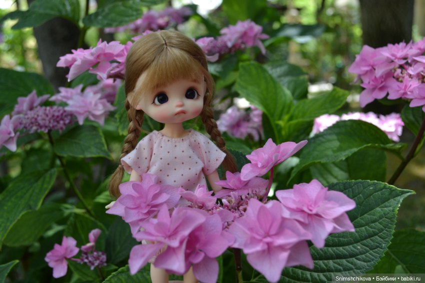 Среди цветов — Разные шарнирные куклы (не БЖД): редкие (фото 2)