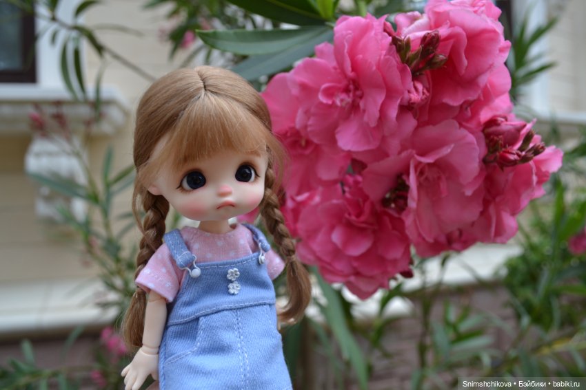 Среди цветов — Разные шарнирные куклы (не БЖД): редкие