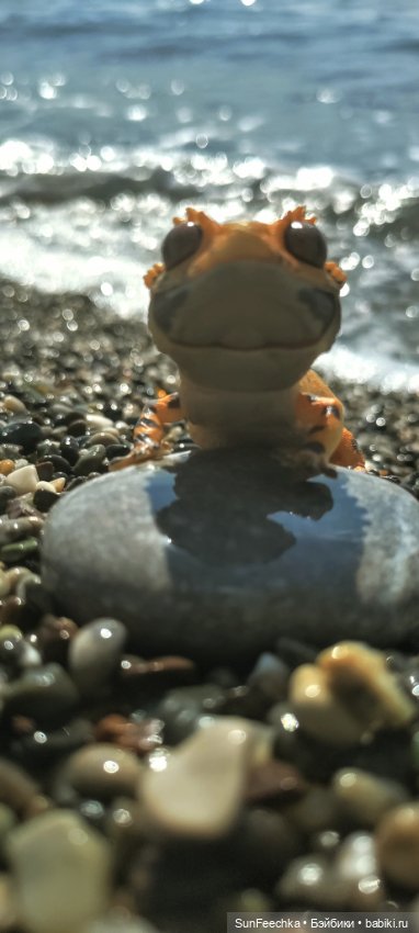 Бананожор Гоша — Коллекционные экшн (фото 5)