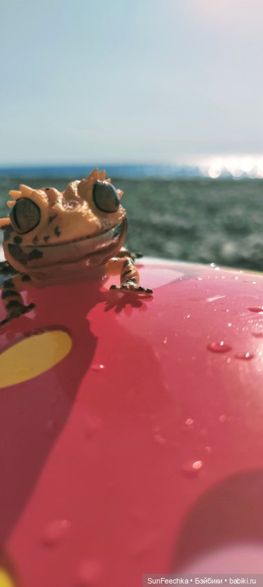 Бананожор Гоша — Коллекционные экшн (фото 4)