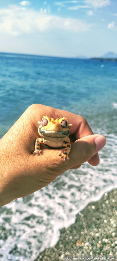 Бананожор Гоша — Коллекционные экшн