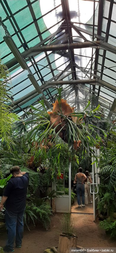 Вместо букета 🌹🌻🌷 — Туризм и путешествия: фотоотчеты из поездок