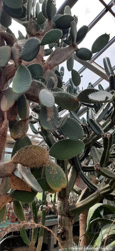 Вместо букета 🌹🌻🌷 — Туризм и путешествия: фотоотчеты из поездок