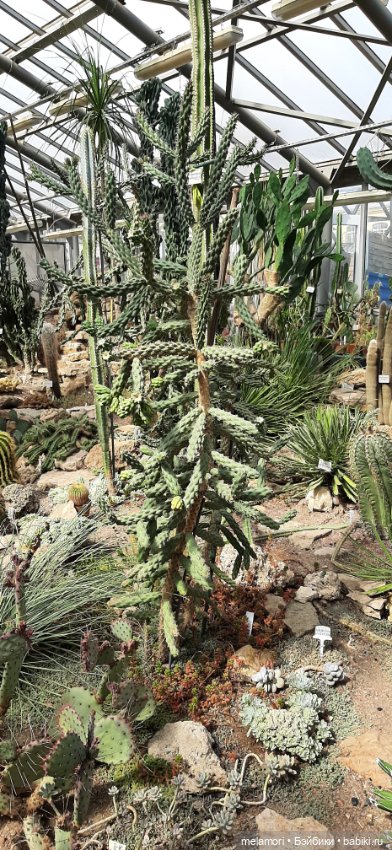 Вместо букета 🌹🌻🌷 — Туризм и путешествия: фотоотчеты из поездок