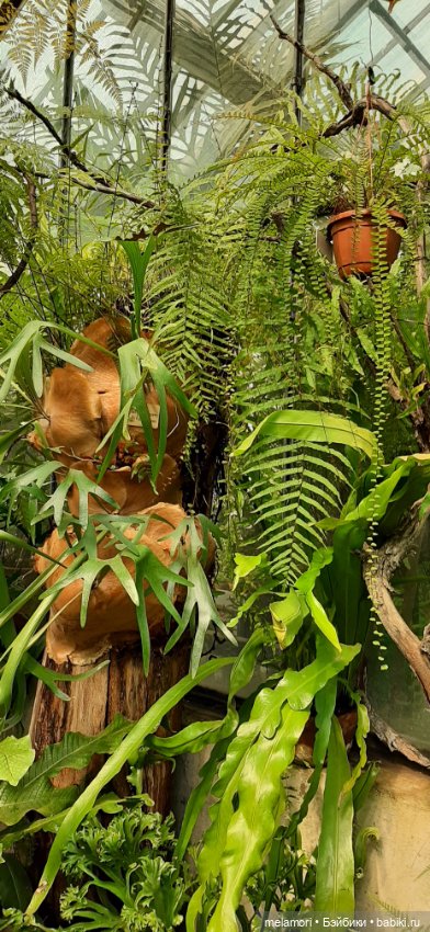 Вместо букета 🌹🌻🌷 — Туризм и путешествия: фотоотчеты из поездок