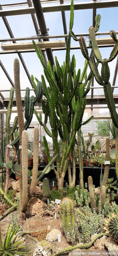 Вместо букета 🌹🌻🌷 — Туризм и путешествия: фотоотчеты из поездок