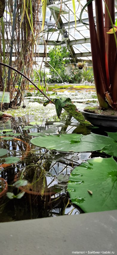 Вместо букета 🌹🌻🌷 — Туризм и путешествия: фотоотчеты из поездок (фото 5)