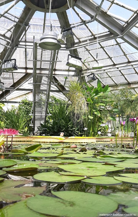 Вместо букета 🌹🌻🌷 — Туризм и путешествия: фотоотчеты из поездок (фото 2)