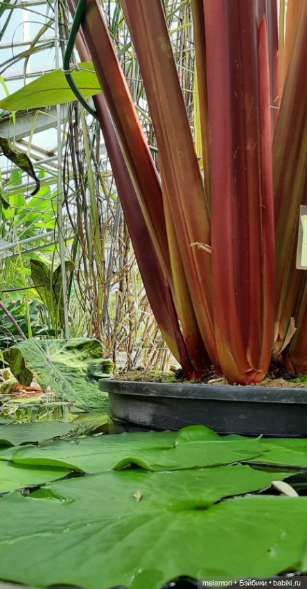 Вместо букета 🌹🌻🌷 — Туризм и путешествия: фотоотчеты из поездок (фото 3)