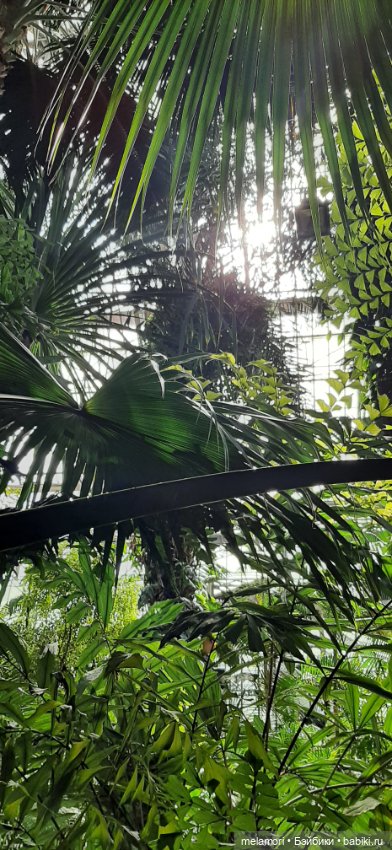 Вместо букета 🌹🌻🌷 — Туризм и путешествия: фотоотчеты из поездок (фото 6)