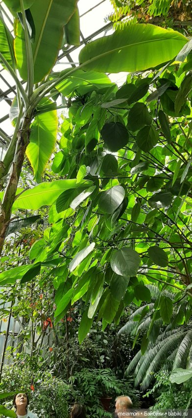 Вместо букета 🌹🌻🌷 — Туризм и путешествия: фотоотчеты из поездок (фото 8)