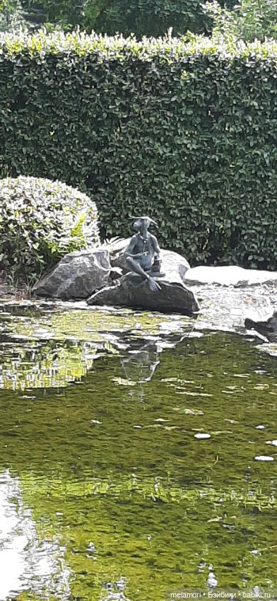 Вместо букета 🌹🌻🌷 — Туризм и путешествия: фотоотчеты из поездок