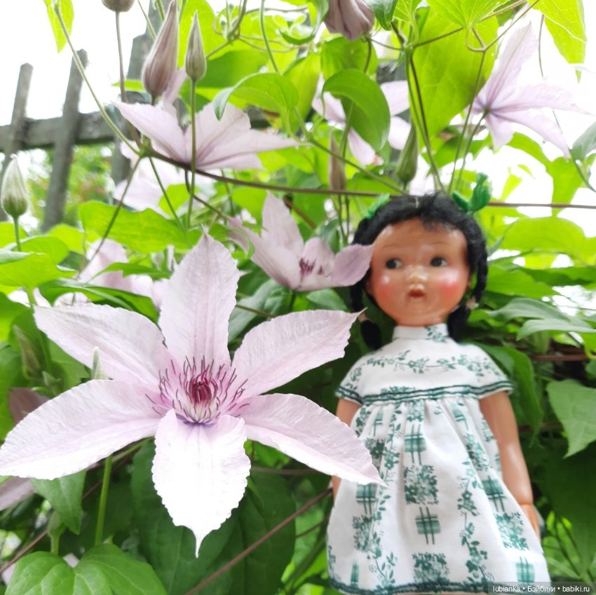 Двойная безымянная радость💞🍒